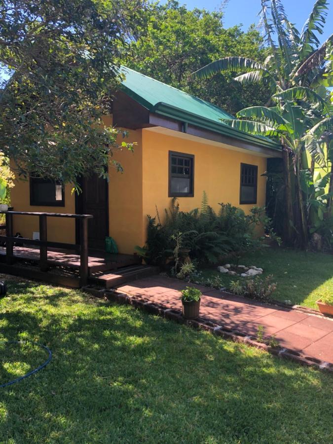 Airport Rio Segundo Studio Bed & Breakfast Alajuela Exterior photo