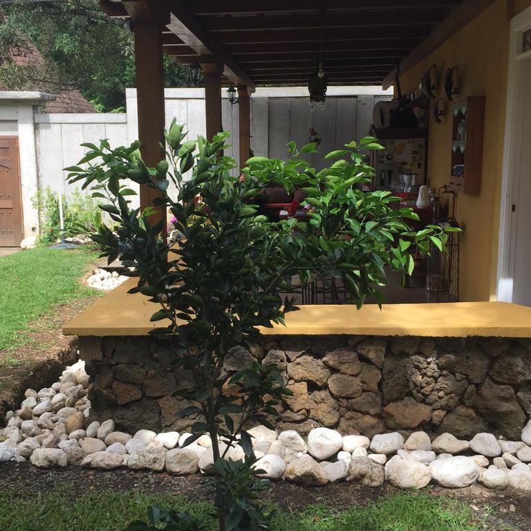 Airport Rio Segundo Studio Bed & Breakfast Alajuela Exterior photo